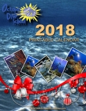 Octopus Calendar 2018 Cover_resize