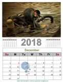 2018 EOD MCM Calendar_12_resize