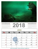 2018 EOD MCM Calendar_6_resize