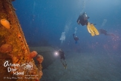 Roatan2020_DougElsey_OctopusDiveSchool_061