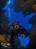 Roatan2020_DougElsey_OctopusDiveSchool_075-sharpen-stabilize