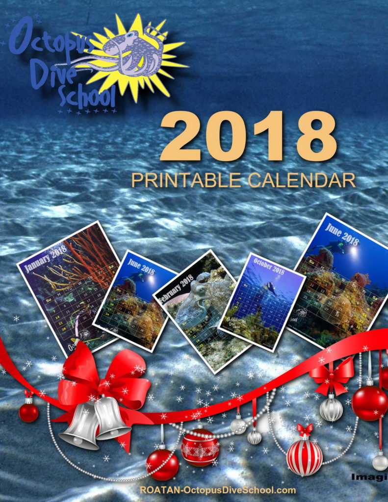 Octopus-Calendar-2018-Cover_resize-791x1024.jpg